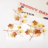 Factory direct sales of DIY handcrafted leaf accessories, including faux silk leaf materials, artificial green leaves, and rattan flower garlands Application Scenario